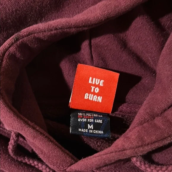 Spitfire Mens Maroon Hoodie with Graphic Design - Picture 5 of 6